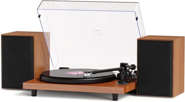 DIGITNOW Vinyl Record Player Review